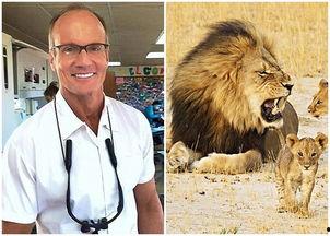 泰国明星狮子,闪耀舞台的璀璨之星